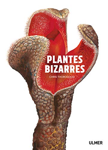 Stock image for Plantes bizarres for sale by Le Monde de Kamlia