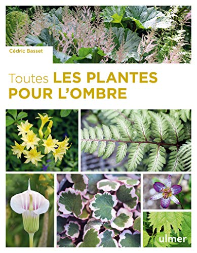 Beispielbild fr Toutes les plantes pour l'ombre zum Verkauf von Gallix