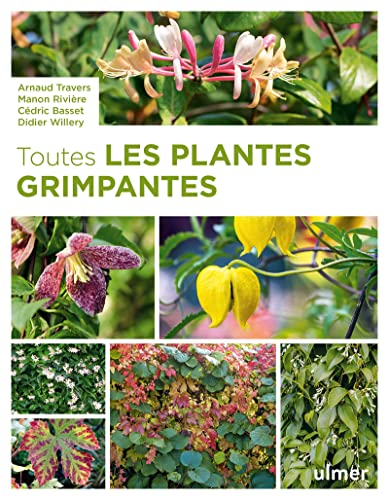 Beispielbild fr Toutes les Plantes grimpantes zum Verkauf von medimops