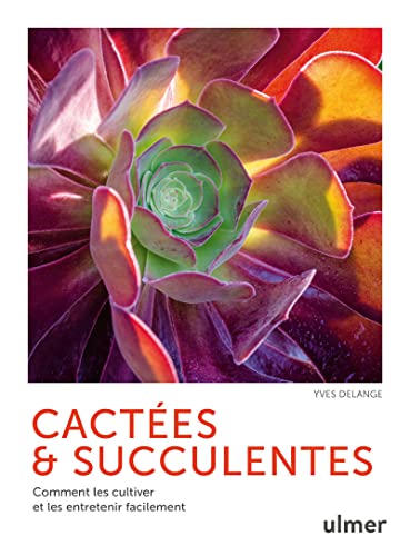 Beispielbild fr Cactes et succulentes - Comment les cultiver et les entretenir facilement zum Verkauf von EPICERIE CULTURELLE