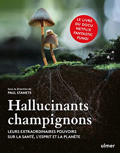 Imagen de archivo de Hallucinants champignons - Leurs extraordinaires pouvoirs sur la sant, l'esprit et la plante a la venta por medimops