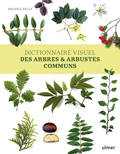 Stock image for Dictionnaire visuel des arbres et arbustes communs for sale by Gallix