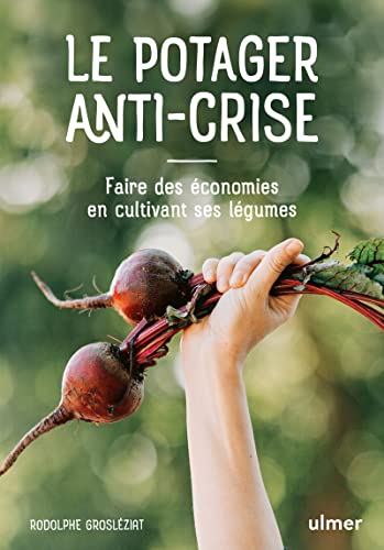 Stock image for Le potager anti-crise - Manger sain en dpensant peu for sale by medimops