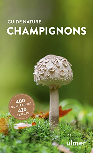 9782379223129: Champignons