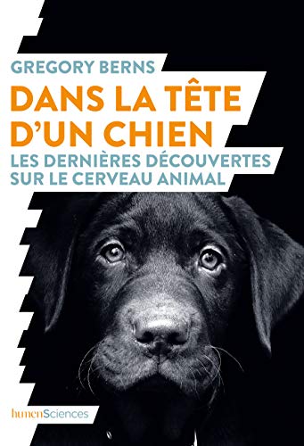 Imagen de archivo de Dans la tte d'un chien: Les dernires dcouvertes sur le cerveau animal a la venta por e-Libraire