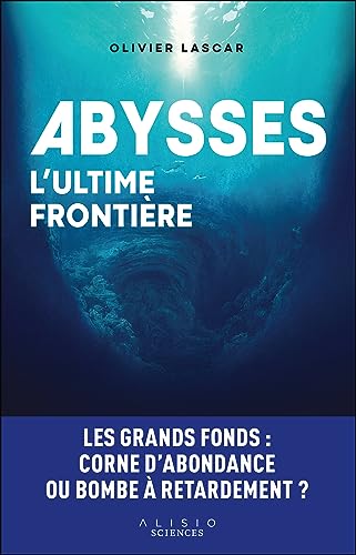 Beispielbild fr Abysses, l'ultime frontire: LES GRANDS FONDS : CORNE D'ABONDANCE OU BOMBE  RETARDEMENT ? zum Verkauf von Ammareal