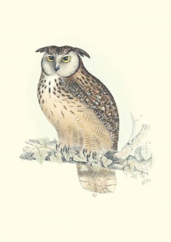 Beispielbild fr Carnet - Oiseaux de l?Himalaya - Notes et Lectures zum Verkauf von Gallix