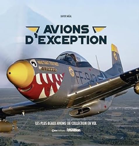 Stock image for Avions d'exception - Les plus beaux avions de collection en vol [FRENCH LANGUAGE - Hardcover ] for sale by booksXpress