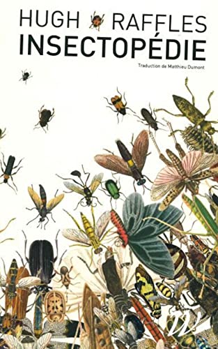 Beispielbild fr Insectopdie zum Verkauf von Gallix