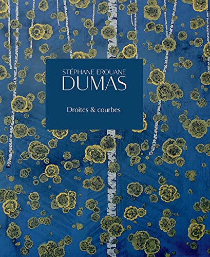 9782382030103: Stphane Erouane Dumas: Droites et courbes