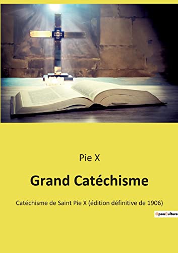 Stock image for Grand Catchisme: Catchisme de Saint Pie X (dition dfinitive de 1906) (French Edition) for sale by Lucky's Textbooks