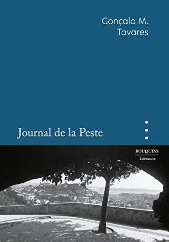 9782382921029: Journal de la peste: L'anne 2020