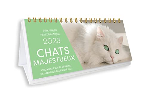 Beispielbild fr Semainier panoramique 2023 - Chats majestueux - Calendrier 1 photo par semaine zum Verkauf von medimops