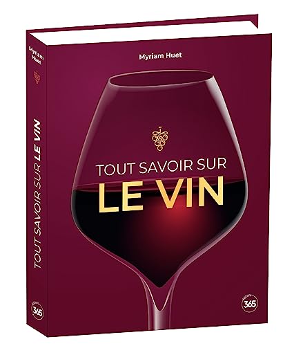 Stock image for Tout savoir sur le vin for sale by Gallix