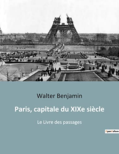 9782385087364: Paris, capitale du XIXe sicle: Le Livre des passages