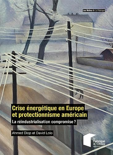 9782385423360: Crise nergtique en Europe et protectionnisme amricain: La rindustrialisation compromise ?
