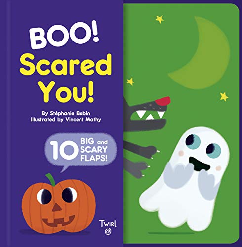 Imagen de archivo de Boo! Scared You! : Includes 10 Big and Scary Flaps a la venta por Better World Books