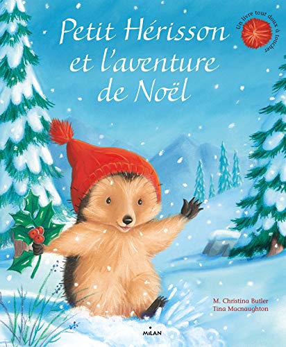 Stock image for Petit Hrisson et l'aventure de Nol for sale by medimops