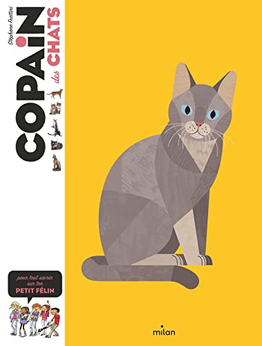 Imagen de archivo de Copain des chats [Broch] Frattini, Stphane; Collectif d'illustrateurs et Flouw, Benjamin a la venta por BIBLIO-NET