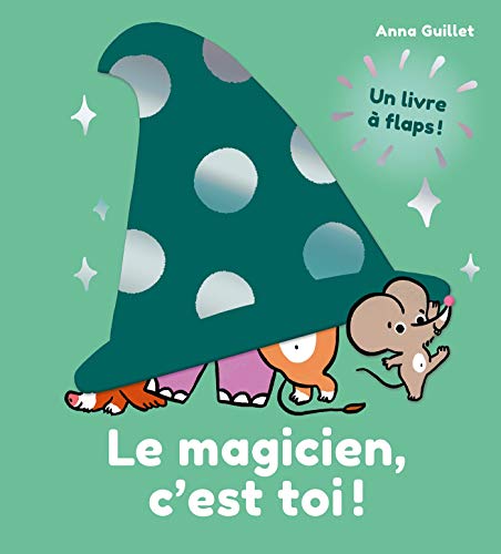 Stock image for Le magicien, c'est toi! for sale by medimops