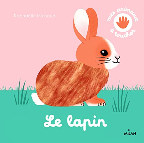 Beispielbild fr Le lapin zum Verkauf von Librairie Th  la page