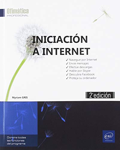 Imagen de archivo de Iniciacin a Internet Navegue por Internet, Enve Mensajes, Efecte Descargas, Hable por Skype, Descubra Facebook, Etc. a la venta por Hamelyn