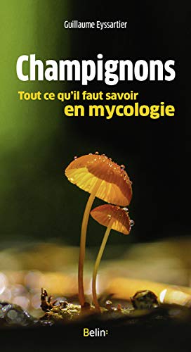 Beispielbild fr Champignons, tout ce qu'il faut savoir en mycologie zum Verkauf von Gallix