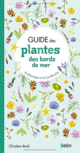 Stock image for Guide des plantes des bords de mer for sale by Gallix