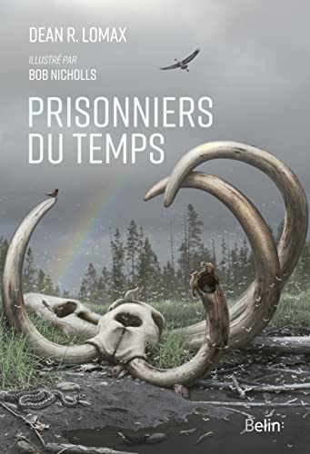 Stock image for Prisonniers du temps for sale by medimops