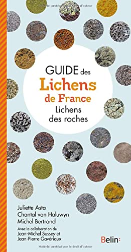 Beispielbild fr Guide des lichens de France - Lichens des roches zum Verkauf von Gallix