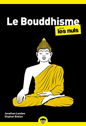 Beispielbild fr Le Bouddhisme Poche Pour les Nuls NE zum Verkauf von Gallix