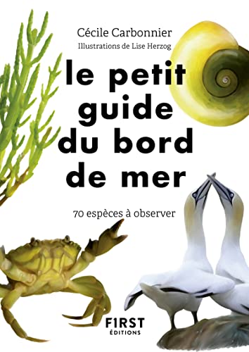 Beispielbild fr Petit Guide d'observation du bord de mer zum Verkauf von Librairie Th  la page
