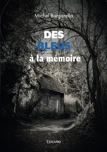 Stock image for des bleus a la memoire for sale by Chapitre.com : livres et presse ancienne