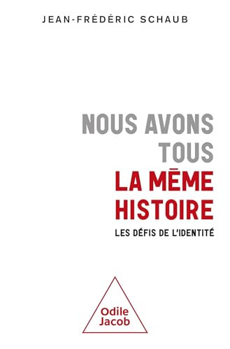 Beispielbild fr Nous avons tous la mme histoire: Les dfis de l'identit zum Verkauf von medimops