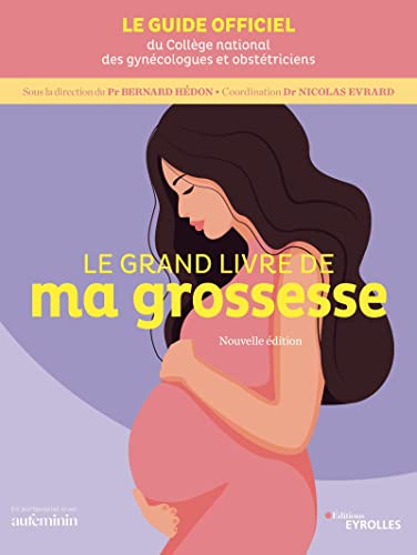 Stock image for Le grand livre de ma grossesse - nouvelle dition for sale by Gallix