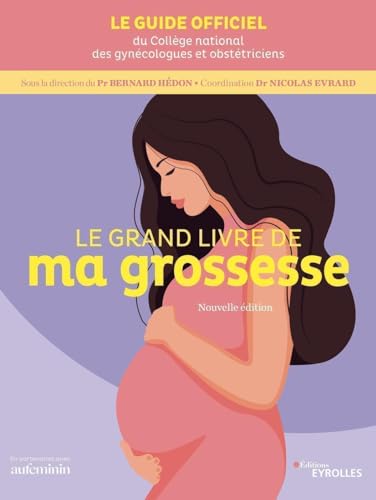 Stock image for Le grand livre de ma grossesse - nouvelle dition for sale by Gallix