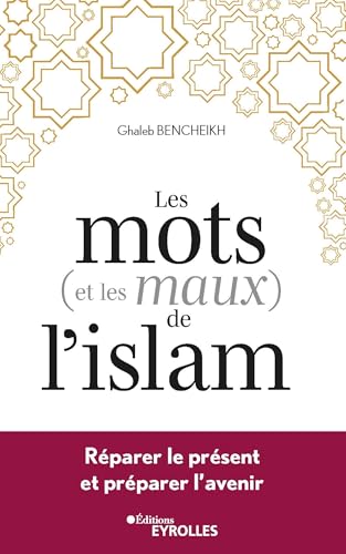 Beispielbild fr Les mots (et les maux) de l'islam: Rparer le prsent et prparer l'avenir zum Verkauf von medimops