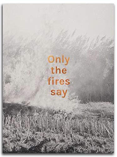 Stock image for Only the Fires Say for sale by Blackwell's