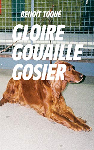 Beispielbild fr Gloire Gouaille Gosier zum Verkauf von medimops