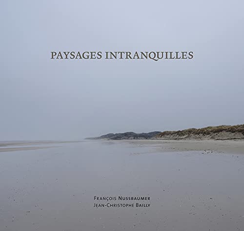 9782490543052: Paysages intranquilles: Franois Nussbaumer