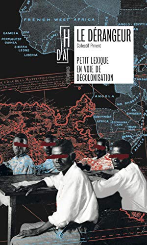 9782490579532: Le drangeur: Petit lexique en voie de dcolonisation