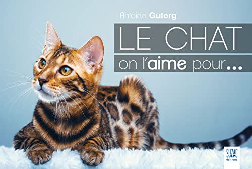 Beispielbild fr Le chat on l'aime pour. zum Verkauf von Ammareal