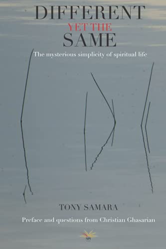 Imagen de archivo de Different yet the same: The mysterious simplicity of spiritual life a la venta por WorldofBooks
