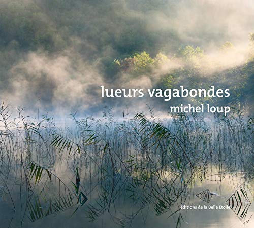 Stock image for Lueurs vagabondes for sale by medimops
