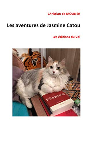Beispielbild fr Les aventures de Jasmine Catou: Les ditions du Val (Dtective Jasmine Catou) (French Edition) zum Verkauf von Book Deals