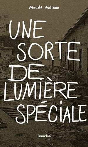 Stock image for Une sorte de lumire spciale for sale by Au bon livre