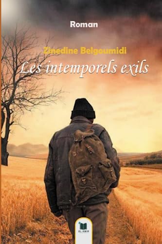 Stock image for Les intemporels exils (French Edition) for sale by Book Deals