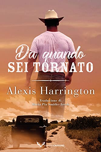 Stock image for Da quando sei tornato (Italian Edition) for sale by GF Books, Inc.