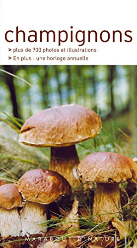 Beispielbild fr Les champignons zum Verkauf von Ammareal