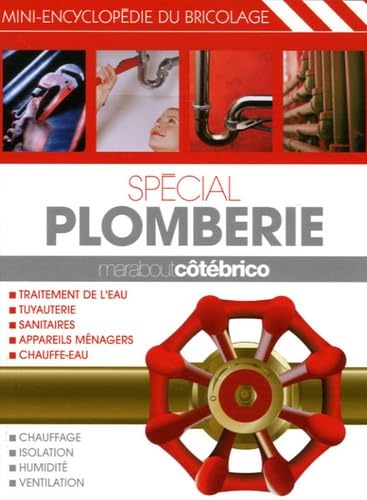 Stock image for Spcial plomberie for sale by medimops